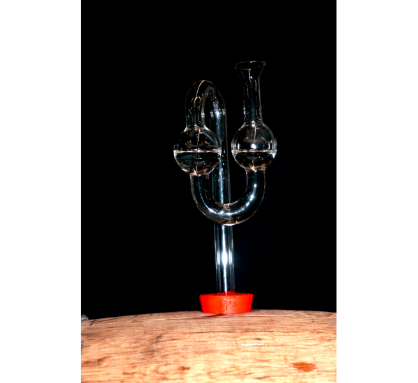 Glas-Gärröhre - Glas klein 10mm